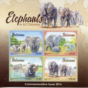 Elephants
