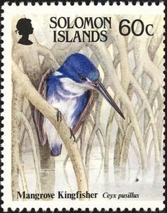 Mangrove Kingfisher (Ceyx pusillus)