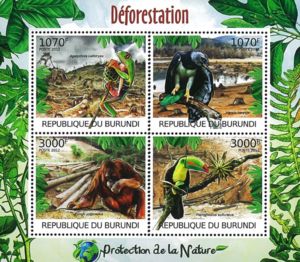 Desforestation