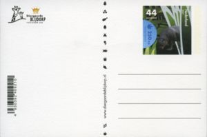 Diergaarde Blijdorp, Rotterdam - Pygmy hippopotamus