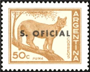 Coguar (Felis concolor), ovpt.