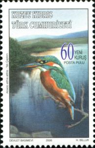 Common Kingfisher (Alcedo atthis atthis)