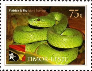 Island Tree Viper (Cryptelytrops insularis)