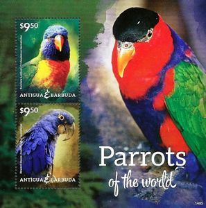 Parrots of the World (2)