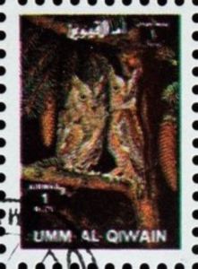 Eurasian Eagle-owl (Bubo bubo)