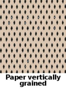 Panamerican Postal Congress