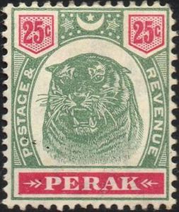 Tiger (Panthera tigris)