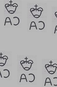 Dendrobium Rose Marie