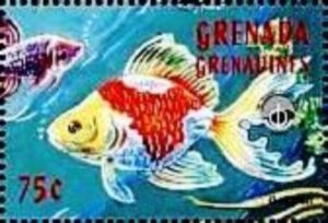 Goldfish