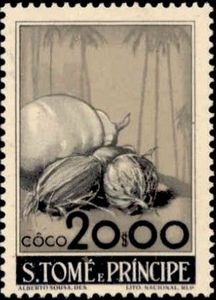 Côco (Cocos nucifera)
