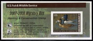 Ring-necked duck (Aythya collaris)