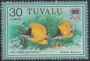 Long-nosed Butterflyfish - Moipepe Manipapa