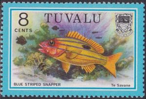 Blue Striped Snapper (Lutianus kasmira) - Te Savane