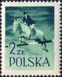 Equestrianism - Showjumping