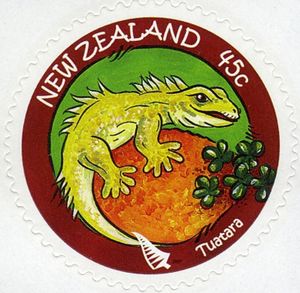 Tuatara (Sphenodon punctatus)