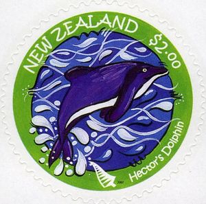 Hector's Dolphin (Cephalorhynchus hectori)