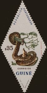 African Rock Python (Python sebae)