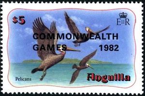 Brown Pelicans (Pelecanus occidentalis) - Overprinted