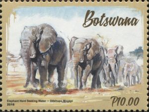 Elephants in Botswana