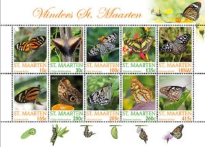 Butterflies of Sint Maarten