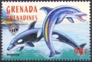 Dolphins
