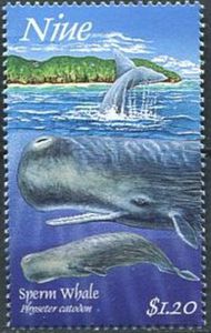 Sperm Whale (Physeter catodon)