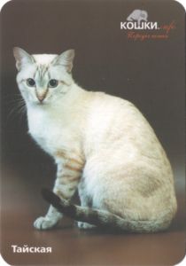 Thai Cat - Thai Legend Cattery