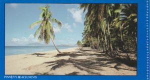 The Famous Windjammer's S.V. Polynesia