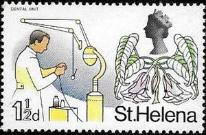 St. Helena Redwood and Dental Unit