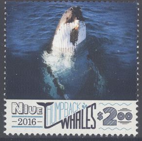 Humpback Whales