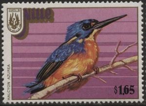 Azure Kingfisher (Halcyon azurea)