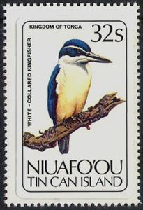 White-collared Kingfisher (Todirhamphus sacer)