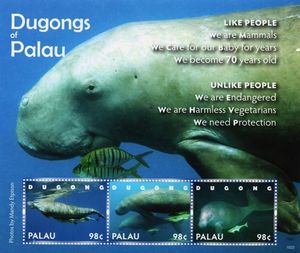 Dugongs of Palau
