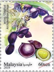 Archidendron jiringa