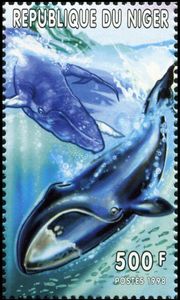 Tribute to Cdt Jacques-Yves Cousteau