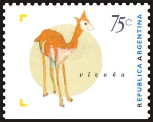 Vicugna (Vicugna vicugna)