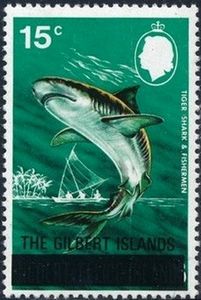 Tiger Shark (Galeocerdo cuvierdi) - Overprinted
