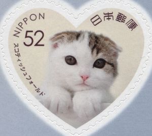 Scottish Fold Cat (Felis Silvestris Catus)