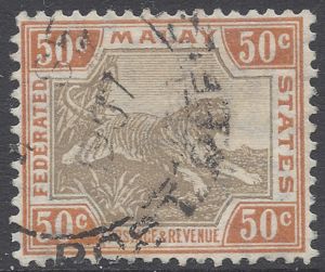 Tiger (Panthera tigris)