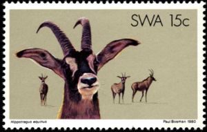 Roan Antelope (Hippotragus equinus)