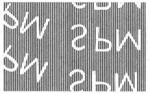 Salak Palm fruit (Salacca glabrescens)