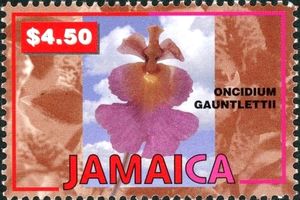 Oncidium gauntlettii