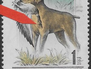 Magyar Vizsla (Canis lupus familiaris) Carrying Mallard Duck