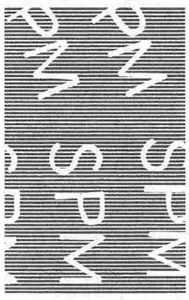 Siamese Fighting Fish (Betta splendens)