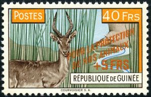 Bohor Reedbuck (Redunca redunca)