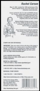 Ring-necked duck (Aythya collaris)