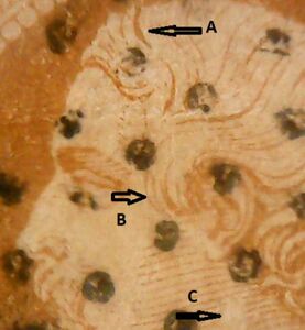 Louis Napoleon (1808-1873)