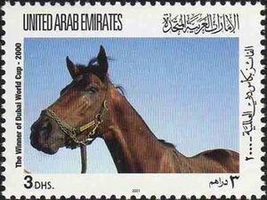 Horse (Equus ferus caballus) „Dubai Millennium“