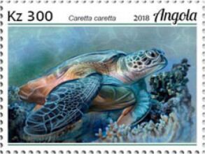 Loggerhead Sea Turtle (Caretta caretta)