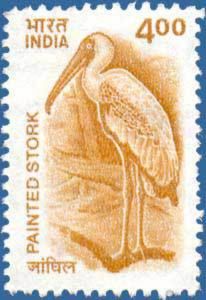 Painted Stork (Mycteria leucocephala)